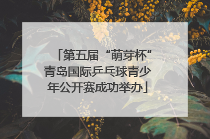 第五届“萌芽杯”青岛国际乒乓球青少年公开赛成功举办