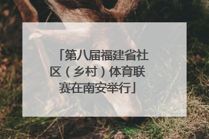 第八届福建省社区（乡村）体育联赛在南安举行