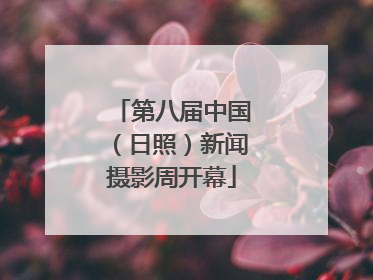 第八届中国（日照）新闻摄影周开幕