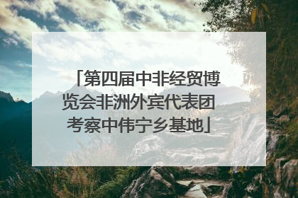 第四届中非经贸博览会非洲外宾代表团考察中伟宁乡基地