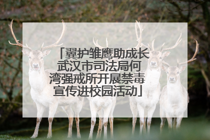 翼护雏鹰助成长 武汉市司法局何湾强戒所开展禁毒宣传进校园活动