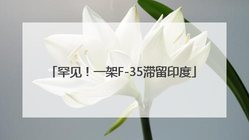 罕见！一架F-35滞留印度