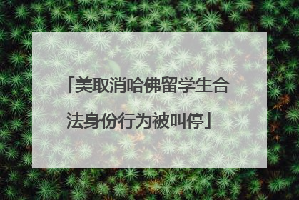美取消哈佛留学生合法身份行为被叫停