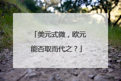 美元式微，欧元能否取而代之？