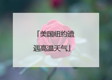 美国纽约遭遇高温天气