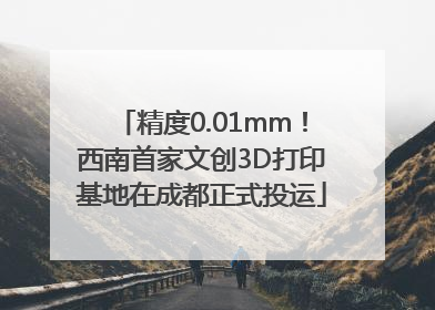 精度0.01mm！西南首家文创3D打印基地在成都正式投运