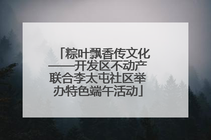 粽叶飘香传文化——开发区不动产联合李太屯社区举办特色端午活动