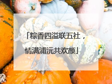 粽香四溢联五社，情满浦沅共欢颜