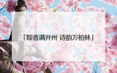 粽香满并州 诗韵万柏林