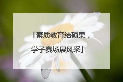 素质教育结硕果，学子赛场展风采