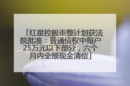 红星控股重整计划获法院批准：普通债权中每户25万元以下部分，六个月内全额现金清偿