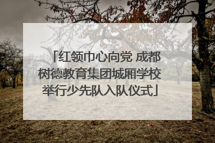 红领巾心向党 成都树德教育集团城厢学校举行少先队入队仪式