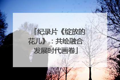 纪录片《绽放的花儿》：共绘融合发展时代画卷