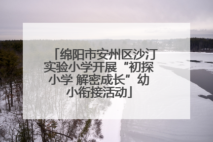 绵阳市安州区沙汀实验小学开展“初探小学 解密成长”幼小衔接活动