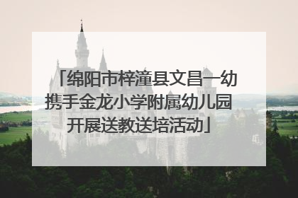 绵阳市梓潼县文昌一幼携手金龙小学附属幼儿园开展送教送培活动