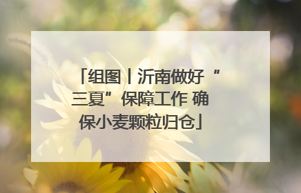 组图丨沂南做好“三夏”保障工作 确保小麦颗粒归仓