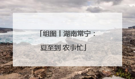 组图丨湖南常宁：夏至到 农事忙