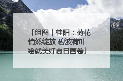 组图｜桂阳：荷花悄然绽放 碧波荷叶绘就美好夏日画卷