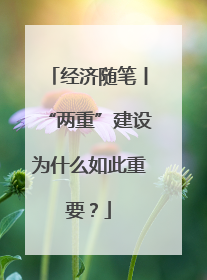 经济随笔丨“两重”建设为什么如此重要？