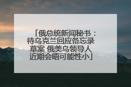 俄总统新闻秘书：待乌克兰回应备忘录草案 俄美乌领导人近期会晤可能性小