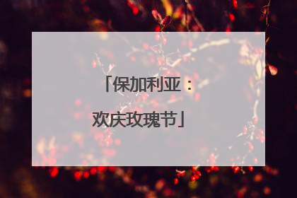 保加利亚：欢庆玫瑰节