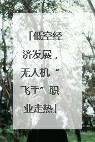 低空经济发展，无人机“飞手”职业走热