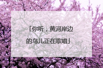 你听，黄河岸边的鸟儿正在歌唱