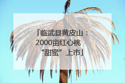 临武县黄皮山：2000亩红心桃“甜蜜”上市