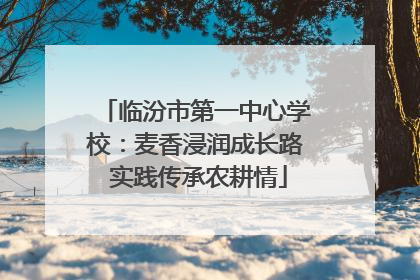 临汾市第一中心学校：麦香浸润成长路 实践传承农耕情
