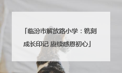 临汾市解放路小学：镌刻成长印记 赓续感恩初心