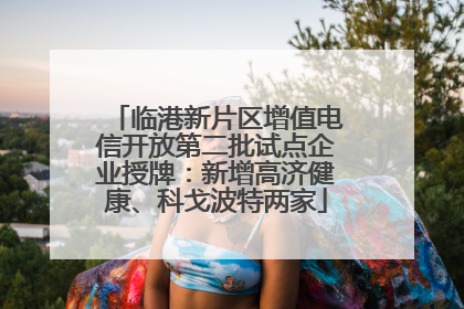 临港新片区增值电信开放第二批试点企业授牌：新增高济健康、科戈波特两家