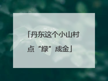 丹东这个小山村点“绿”成金
