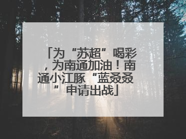 为“苏超”喝彩，为南通加油！南通小江豚“蓝叒叒”申请出战
