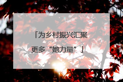 为乡村振兴汇聚更多“她力量”