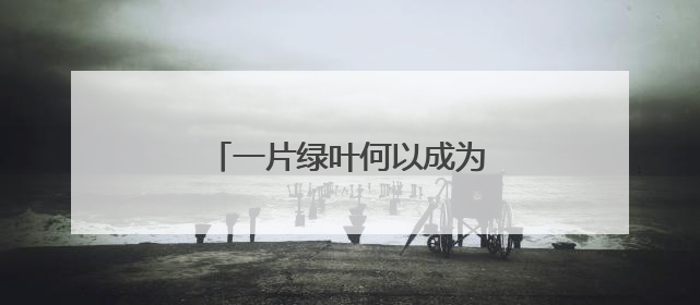一片绿叶何以成为乡村振兴“金叶”