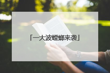 一大波螳螂来袭