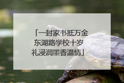 一封家书抵万金 东湖路学校十岁礼浸润墨香温情