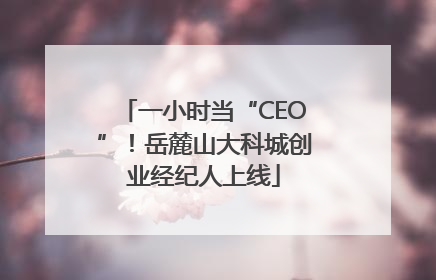 一小时当“CEO”！岳麓山大科城创业经纪人上线