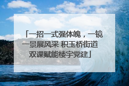 一招一式强体魄，一镜一景展风采 积玉桥街道双课赋能楼宇党建