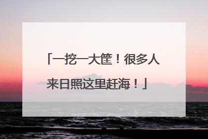 一挖一大筐！很多人来日照这里赶海！