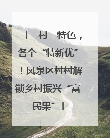 一村一特色，各个“特新优”！凤泉区村村解锁乡村振兴“富民果”