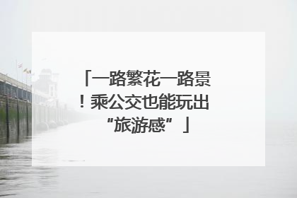 一路繁花一路景！乘公交也能玩出“旅游感”