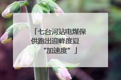 七台河站电煤保供跑出迎峰度夏 “加速度”