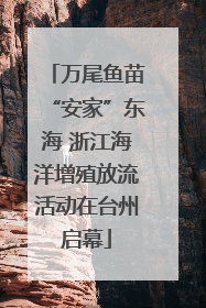 万尾鱼苗“安家”东海 浙江海洋增殖放流活动在台州启幕