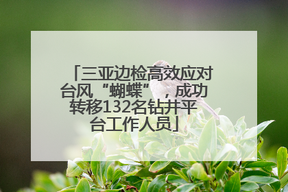 三亚边检高效应对台风“蝴蝶”，成功转移132名钻井平台工作人员