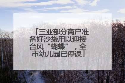 三亚部分商户准备好沙袋用以迎接台风“蝴蝶”，全市幼儿园已停课