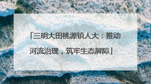 三明大田桃源镇人大：推动河流治理，筑牢生态屏障