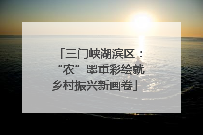三门峡湖滨区：“农”墨重彩绘就乡村振兴新画卷