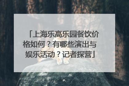 上海乐高乐园餐饮价格如何？有哪些演出与娱乐活动？记者探营