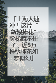 上海人速冲！这片“新娘捧花”阶梯藏不住了，近5万株绣球花如梦似幻